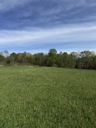 $729,000 | 562 Junus Jackson Hollow Road, Minor Hill, TN 38473