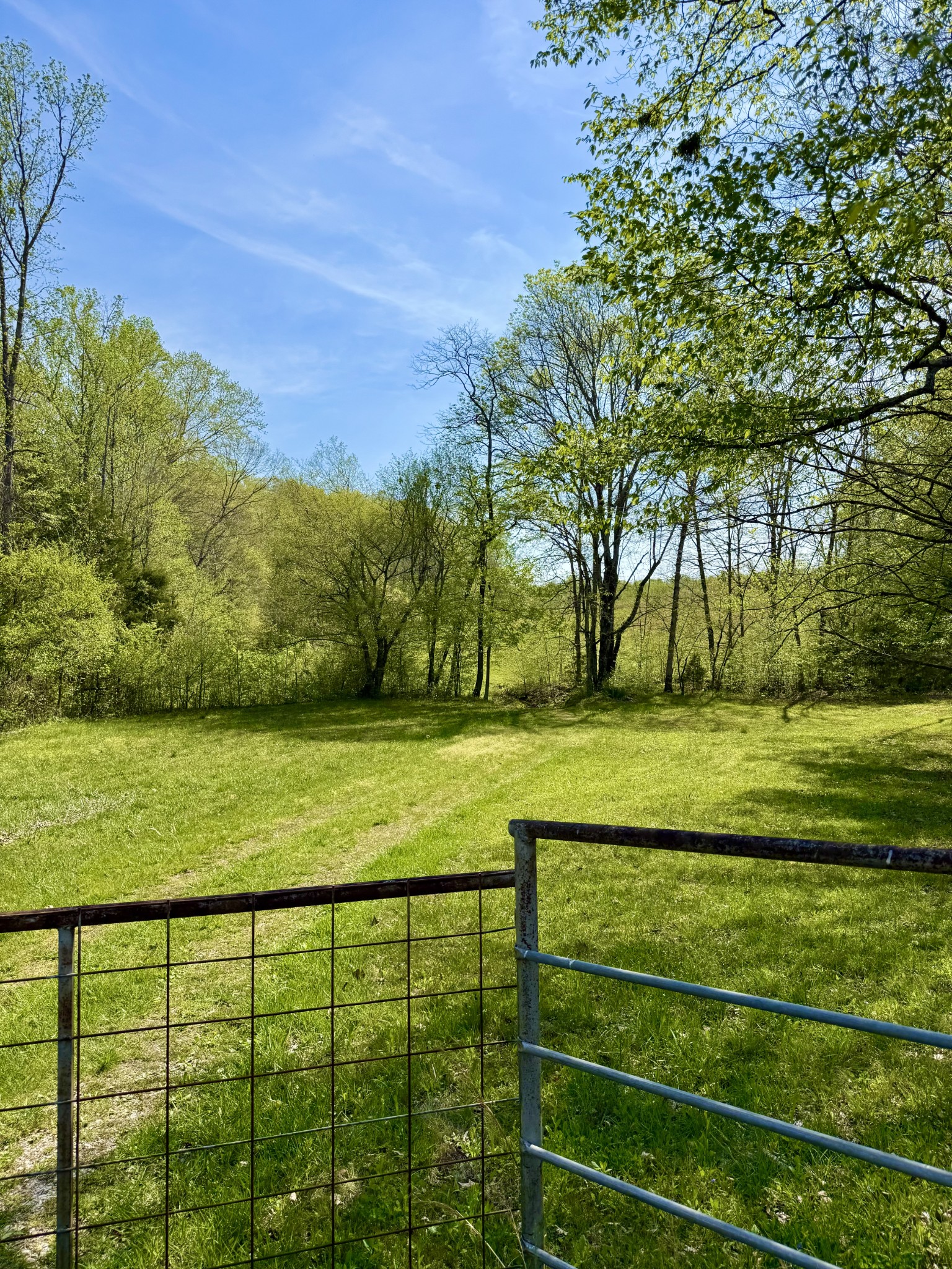 562 Junus Jackson Hollow Road Minor Hill, TN 38473 - Photo 16 of 73