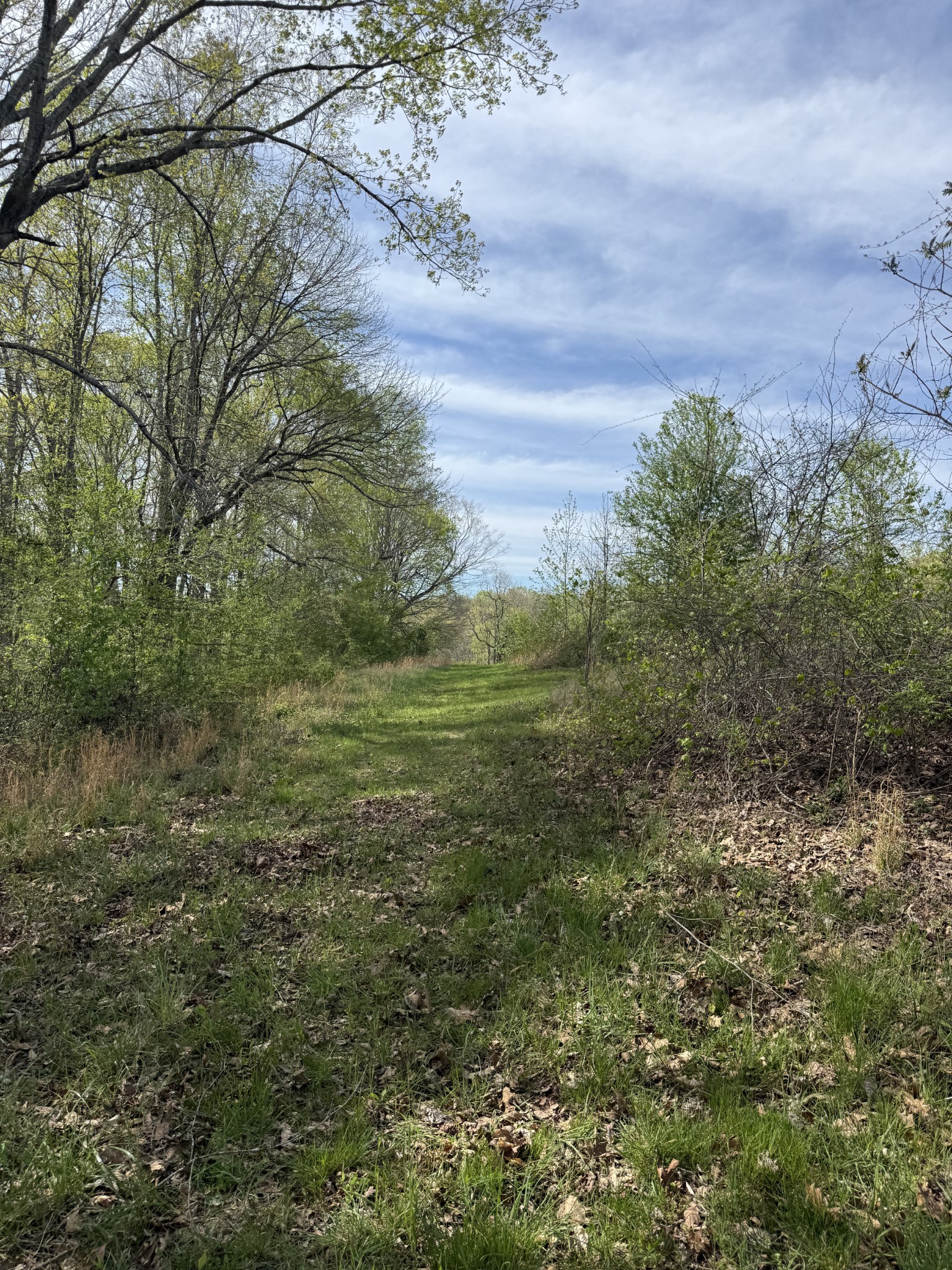562 Junus Jackson Hollow Road Minor Hill, TN 38473 - Photo 25 of 73