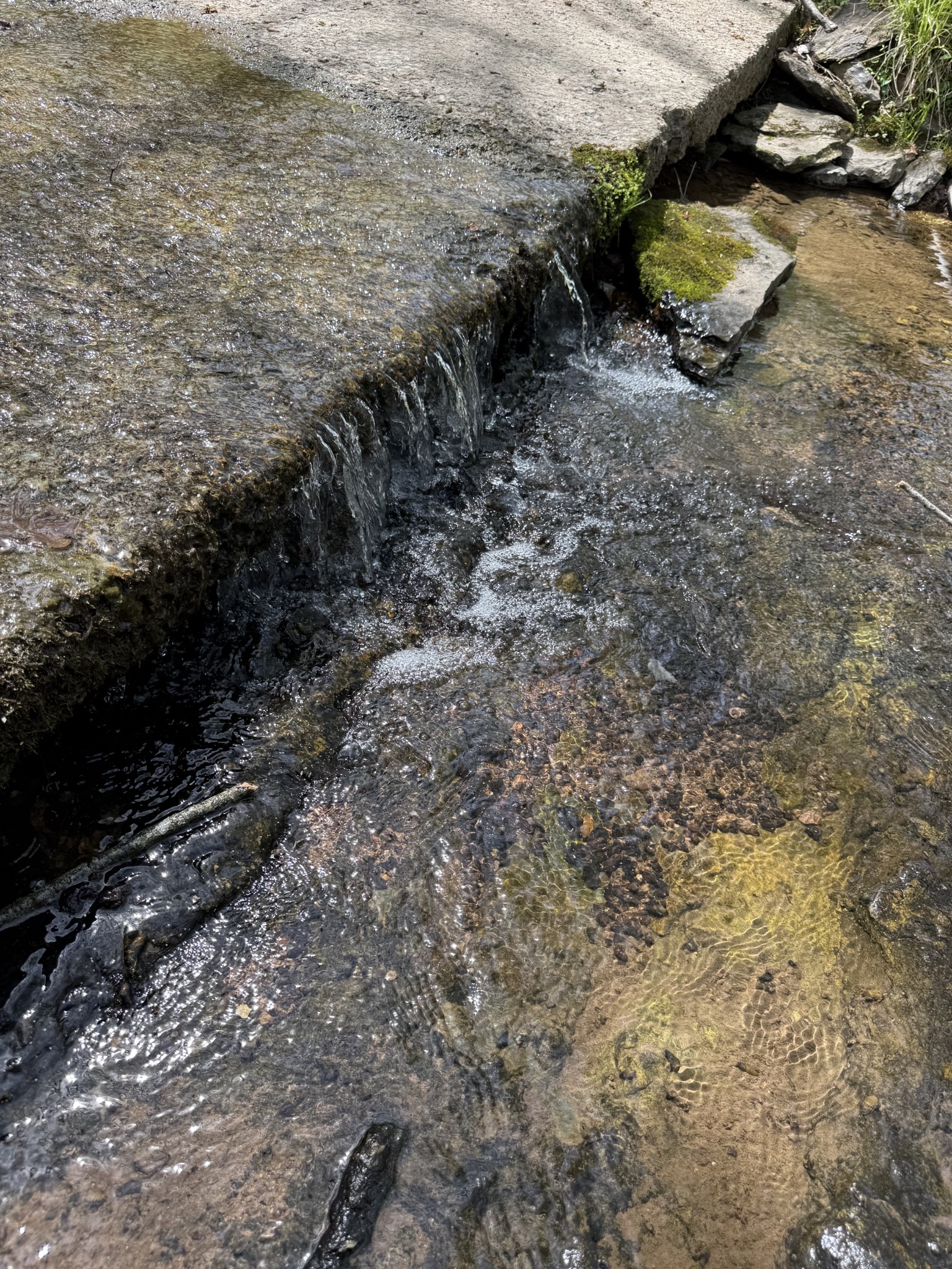 562 Junus Jackson Hollow Road Minor Hill, TN 38473 - Photo 3 of 73