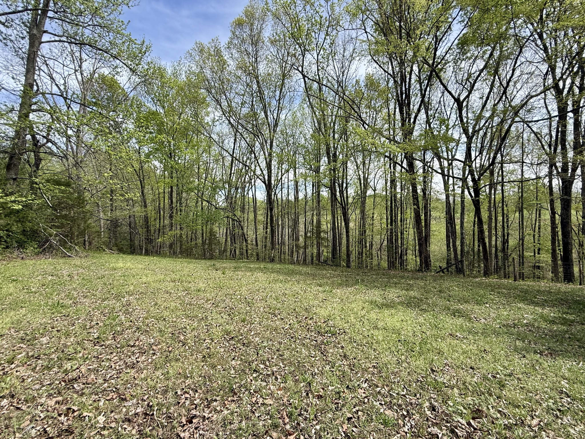 562 Junus Jackson Hollow Road Minor Hill, TN 38473 - Photo 31 of 73