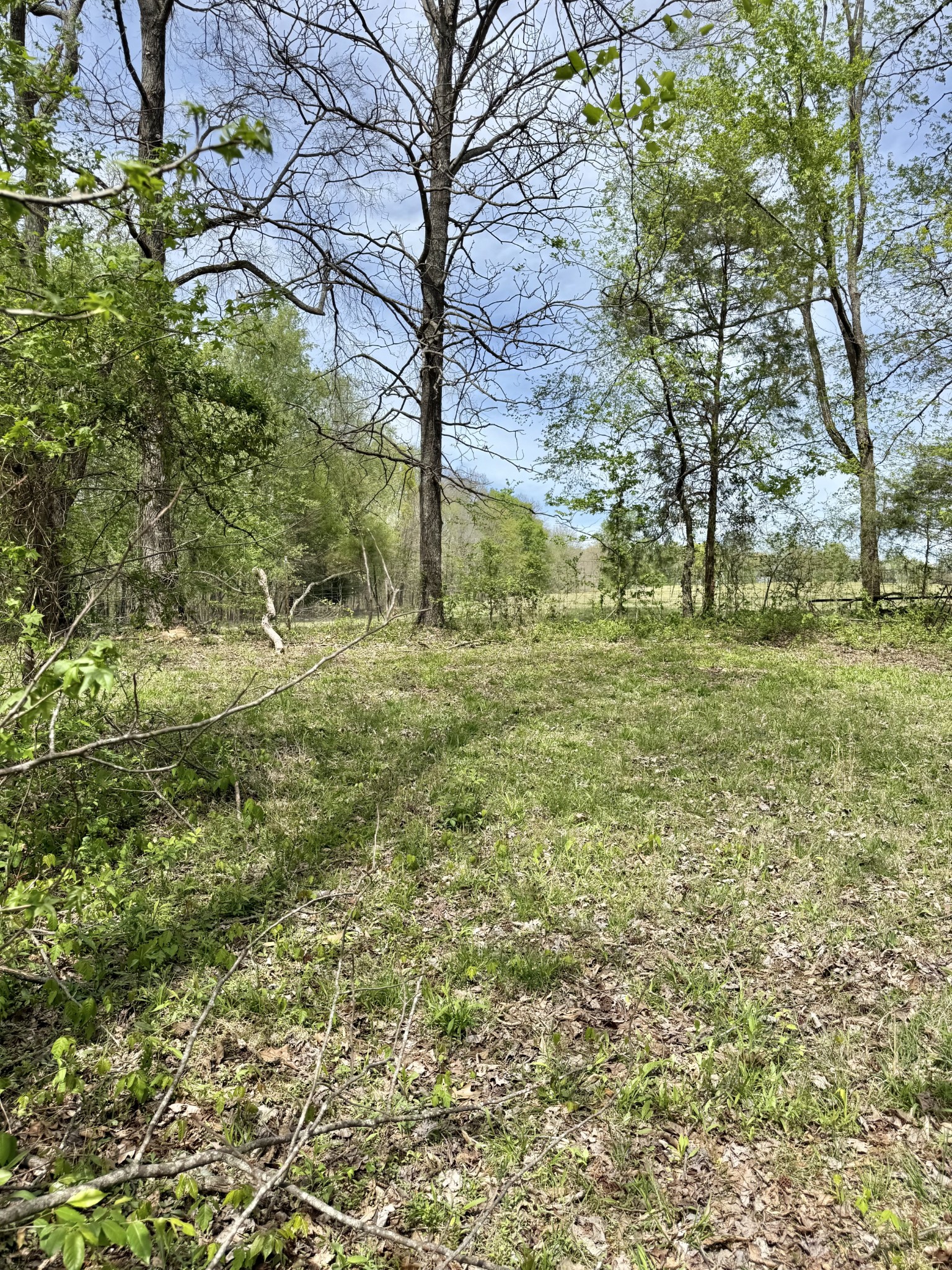 562 Junus Jackson Hollow Road Minor Hill, TN 38473 - Photo 34 of 73