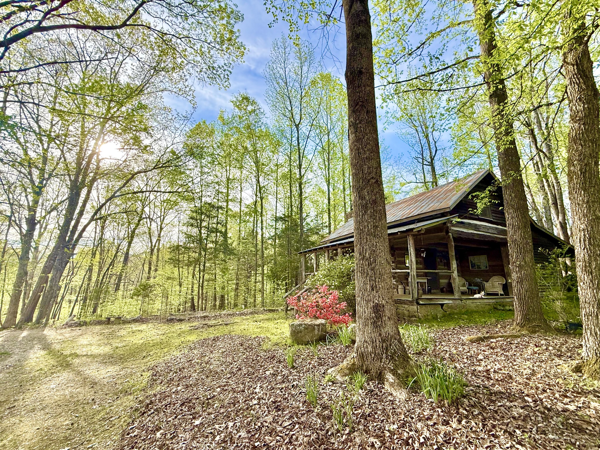 562 Junus Jackson Hollow Road Minor Hill, TN 38473 - Photo 48 of 73