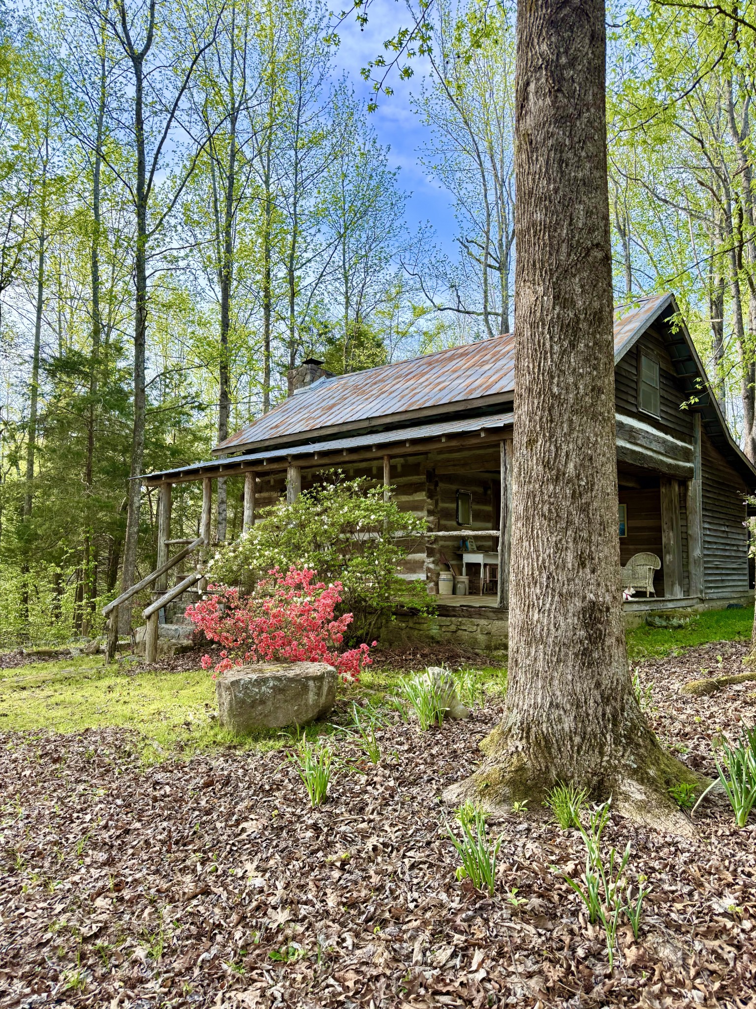 562 Junus Jackson Hollow Road Minor Hill, TN 38473 - Photo 51 of 73