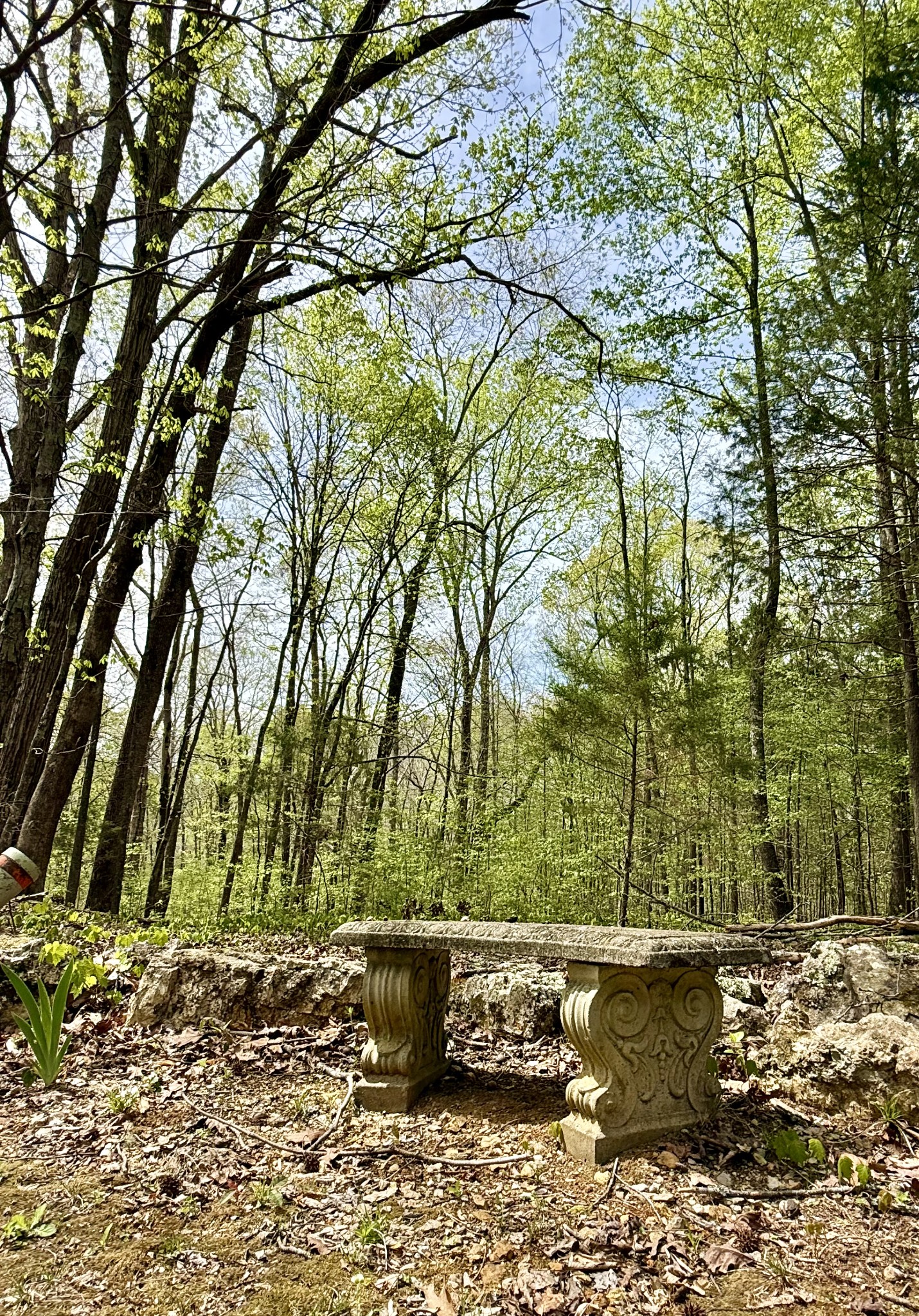 562 Junus Jackson Hollow Road Minor Hill, TN 38473 - Photo 64 of 73