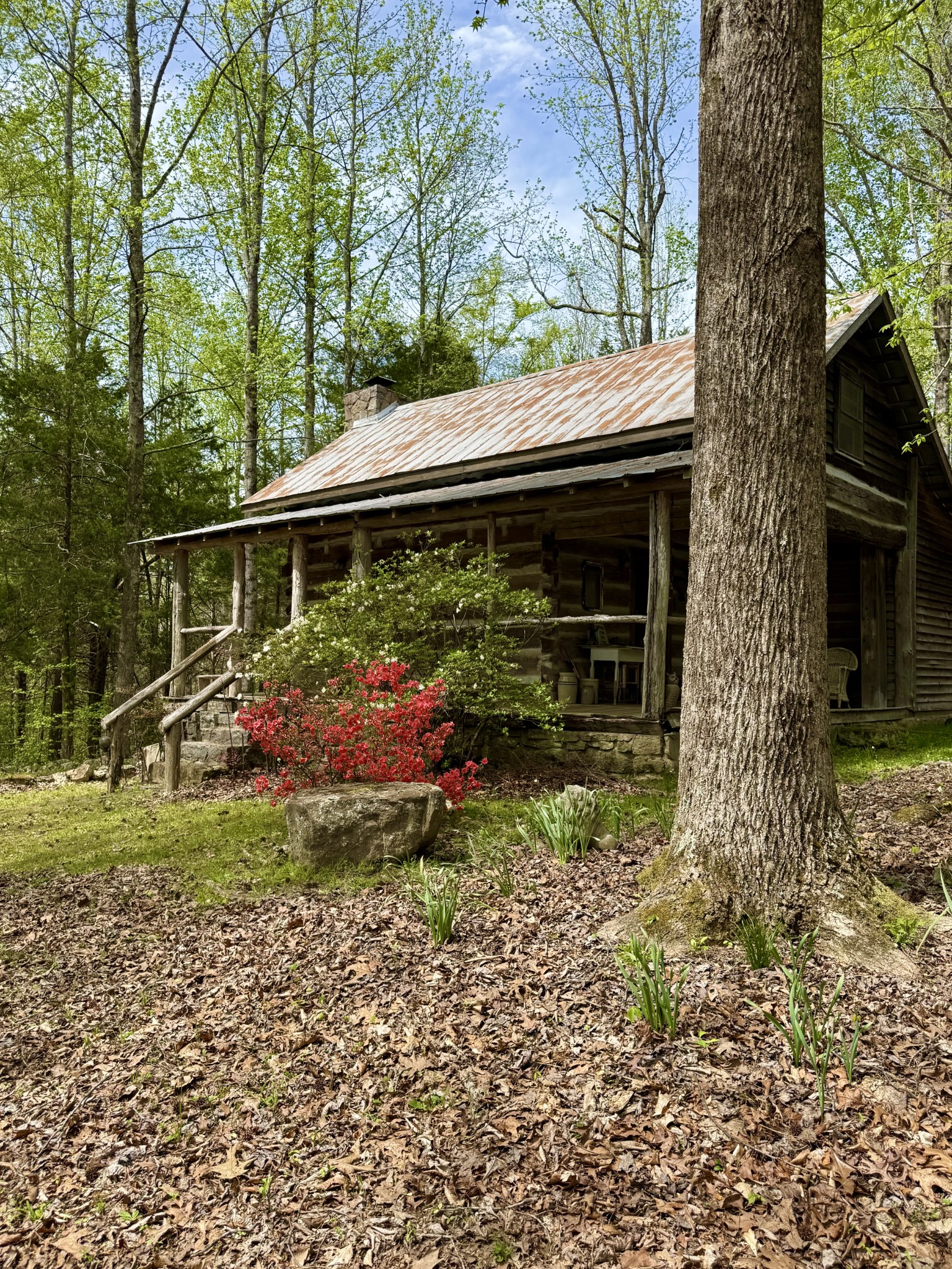 562 Junus Jackson Hollow Road Minor Hill, TN 38473 - Photo 71 of 73