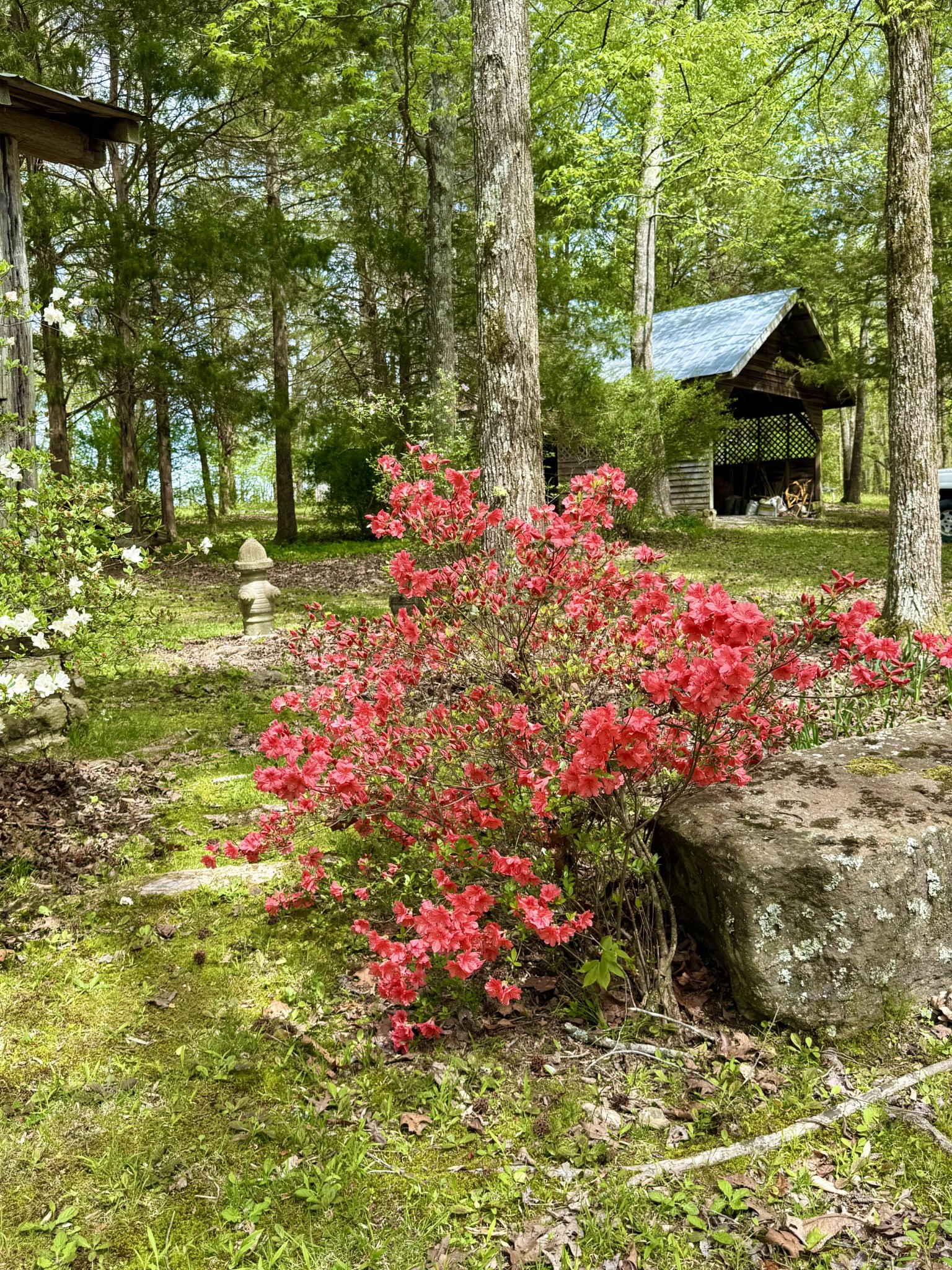 562 Junus Jackson Hollow Road Minor Hill, TN 38473 - Photo 72 of 73