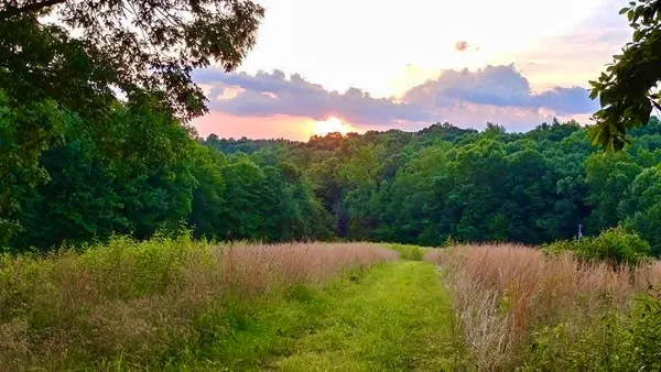 $729,000 | 562 Junus Jackson Hollow Road, Minor Hill, TN 38473