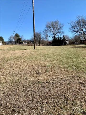 a view of yard with large tree