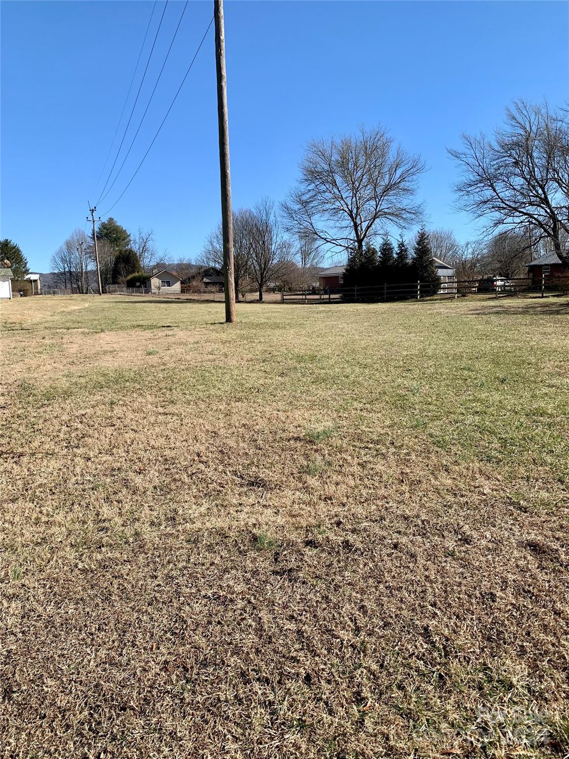 565 Neely Road Brevard, NC 28712 - Photo 6 of 30 a view of yard with large tree