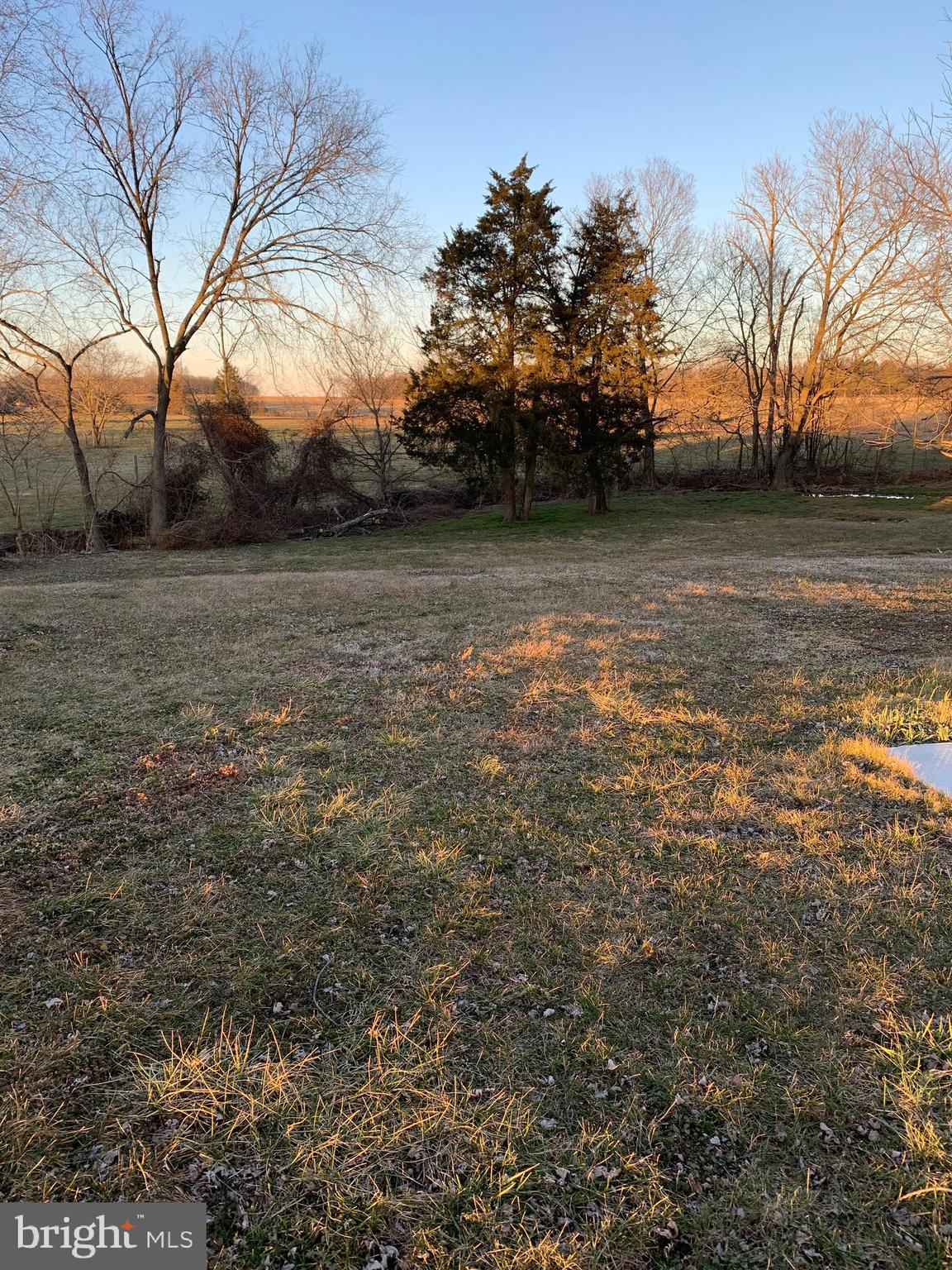 10121 Elk Run Road Catlett, VA 20119 - Photo 3 of 16 Back Yard