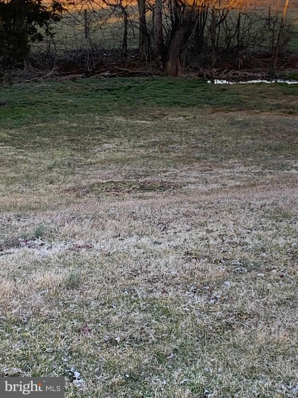 10121 Elk Run Road Catlett, VA 20119 - Photo 4 of 16 Creek at end of back yard