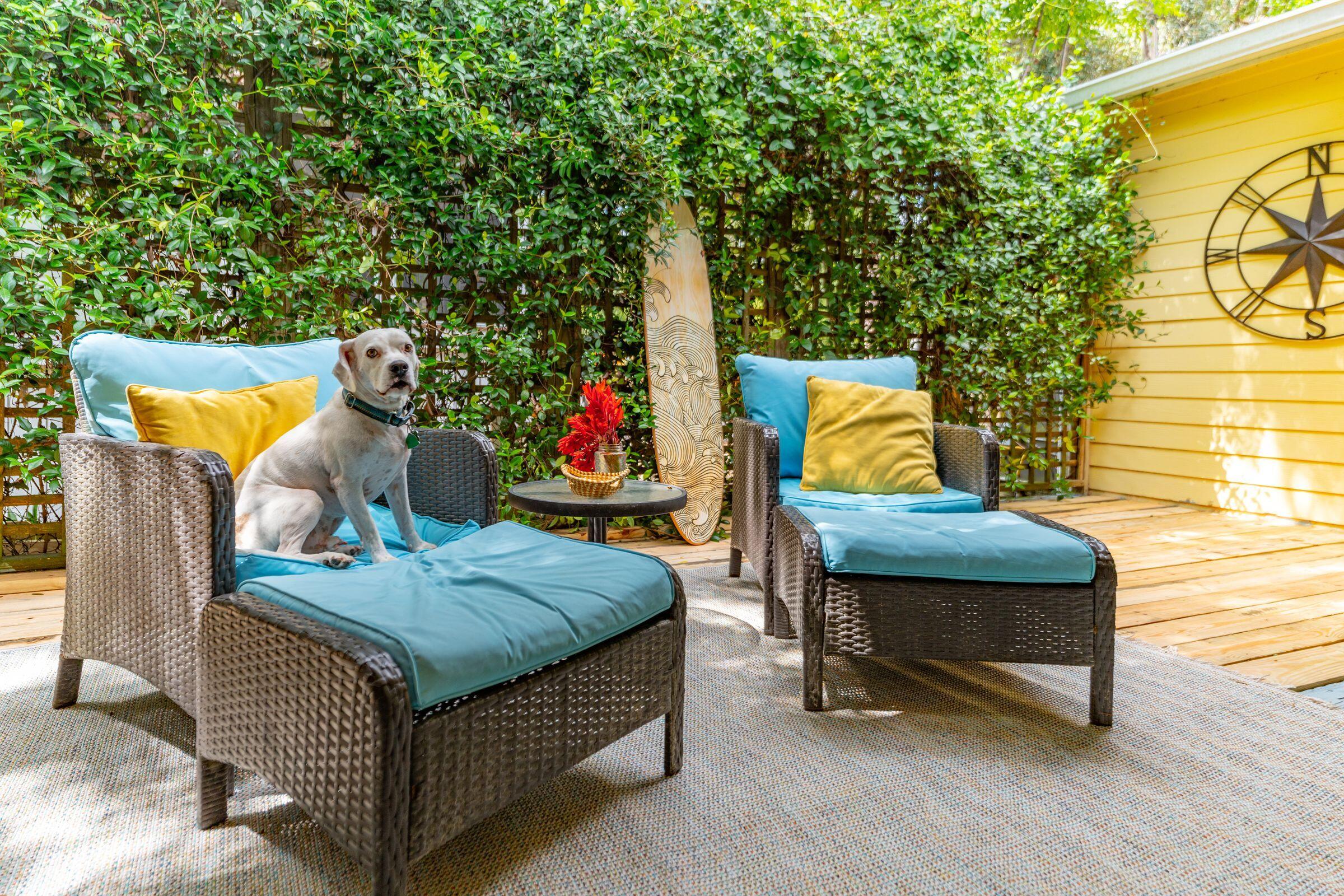 420 East Erie Avenue Folly Beach, SC 29439 - Photo 40 of 106 420EErieAve-KeenEyeMarketing-137