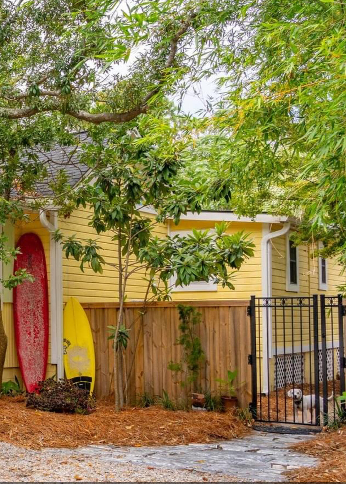 420 East Erie Avenue Folly Beach, SC 29439 - Photo 9 of 106 IMG_9258