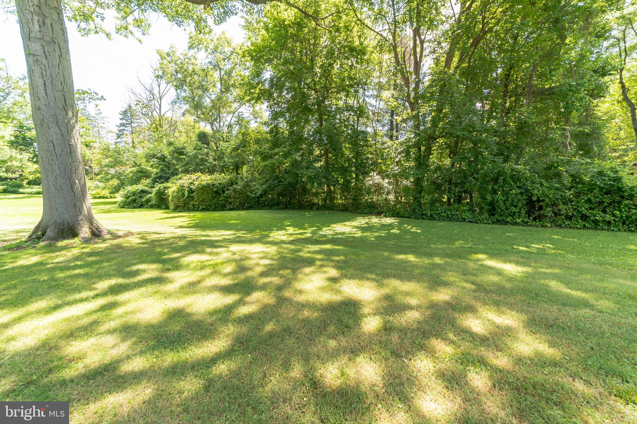 1335 Melvin Road Phoenixville, PA 19460 - Photo 38 of 38 Woods/Trees in Back