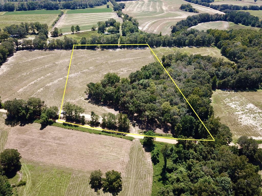 Lot 7 Acres Grady Garner Road Slocomb, AL 36375 - Photo 6 of 58