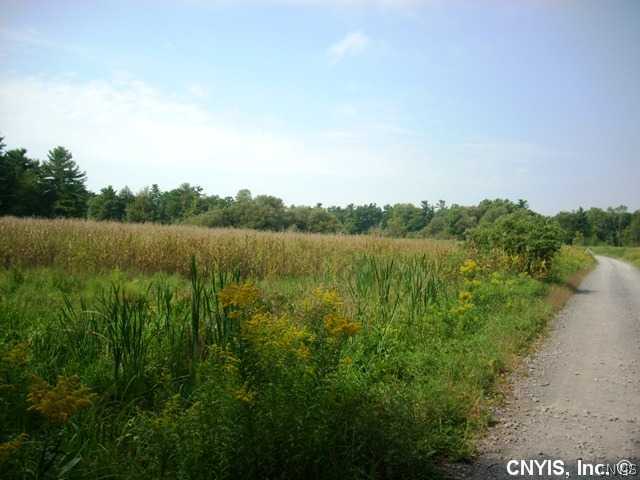 0 Schnurr Road Hammond, NY 13646 - Photo 1 of 1 Land
