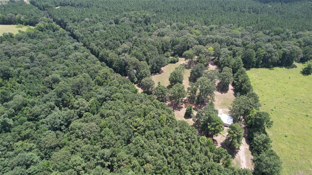 191 Circle Drive Mansfield, LA 71052 - Photo 21 of 22 an aerial view of residential house with space and trees all around