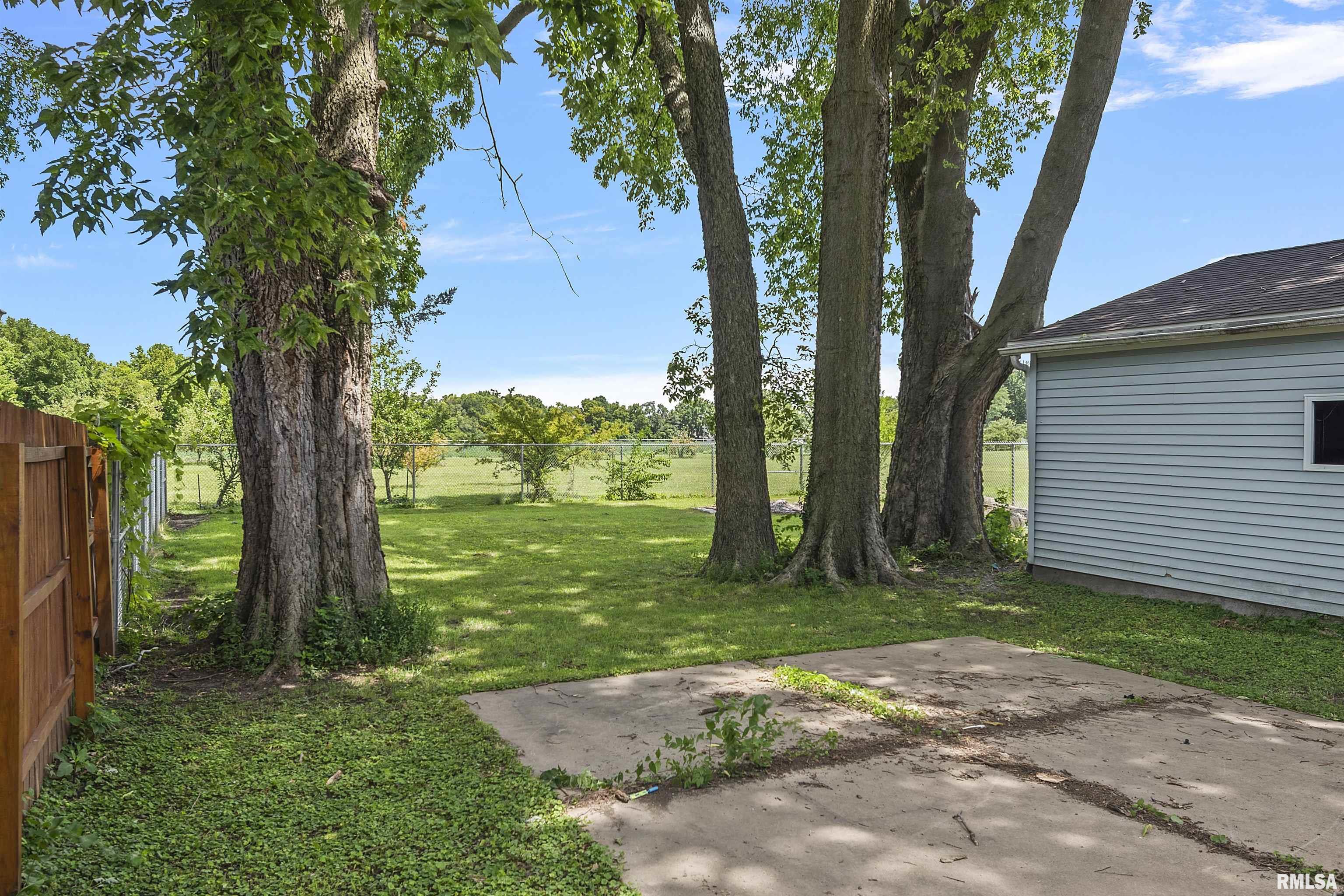 115 Aarup Street Springfield, IL 62703 - Photo 22 of 25