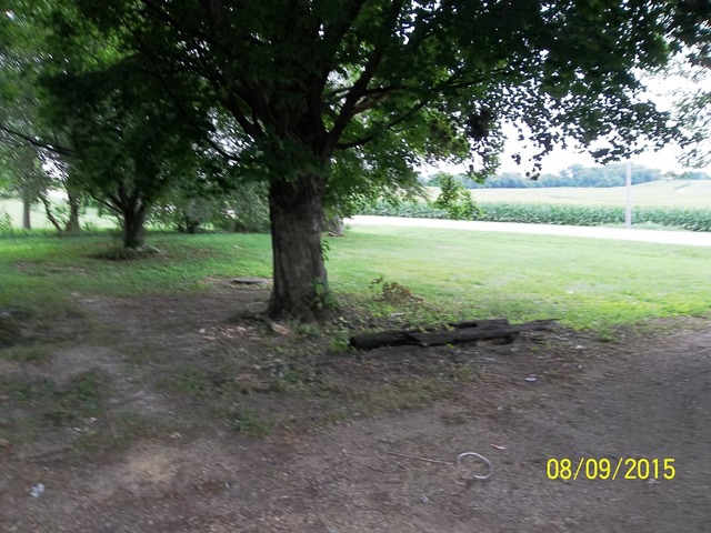 1252 South Ridge Road Oregon, IL 61061 - Photo 14 of 14 a view of outdoor space with trees all around