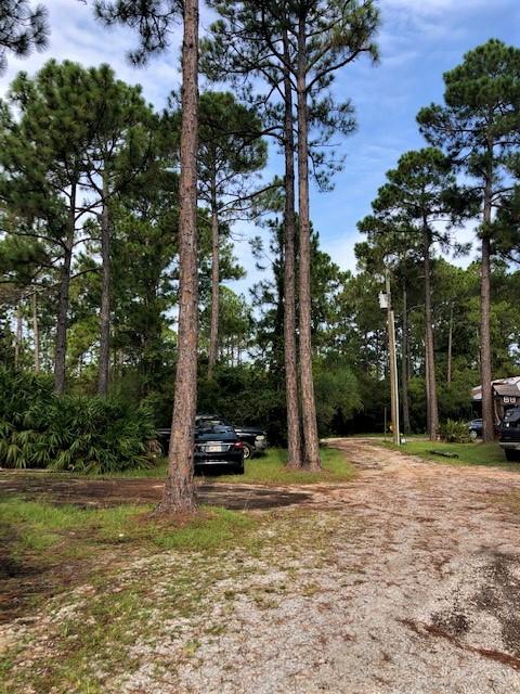 4 Mario Road Santa Rosa Beach, FL 32459 - Photo 3 of 8 Gallery Image 3