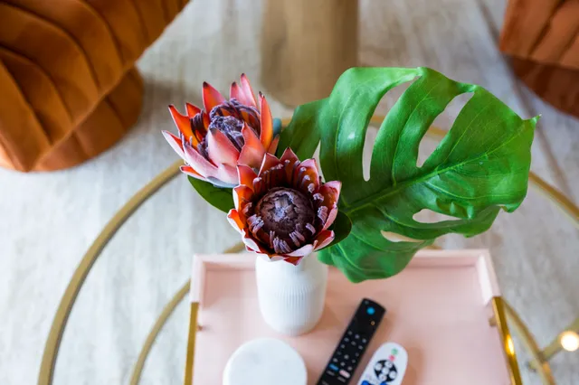 a view of a bunch of plants and a wooden fence