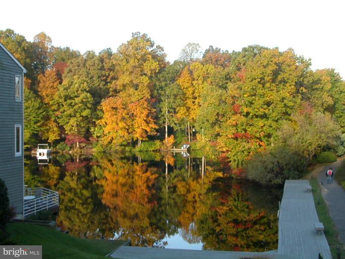 Fall View from Deck