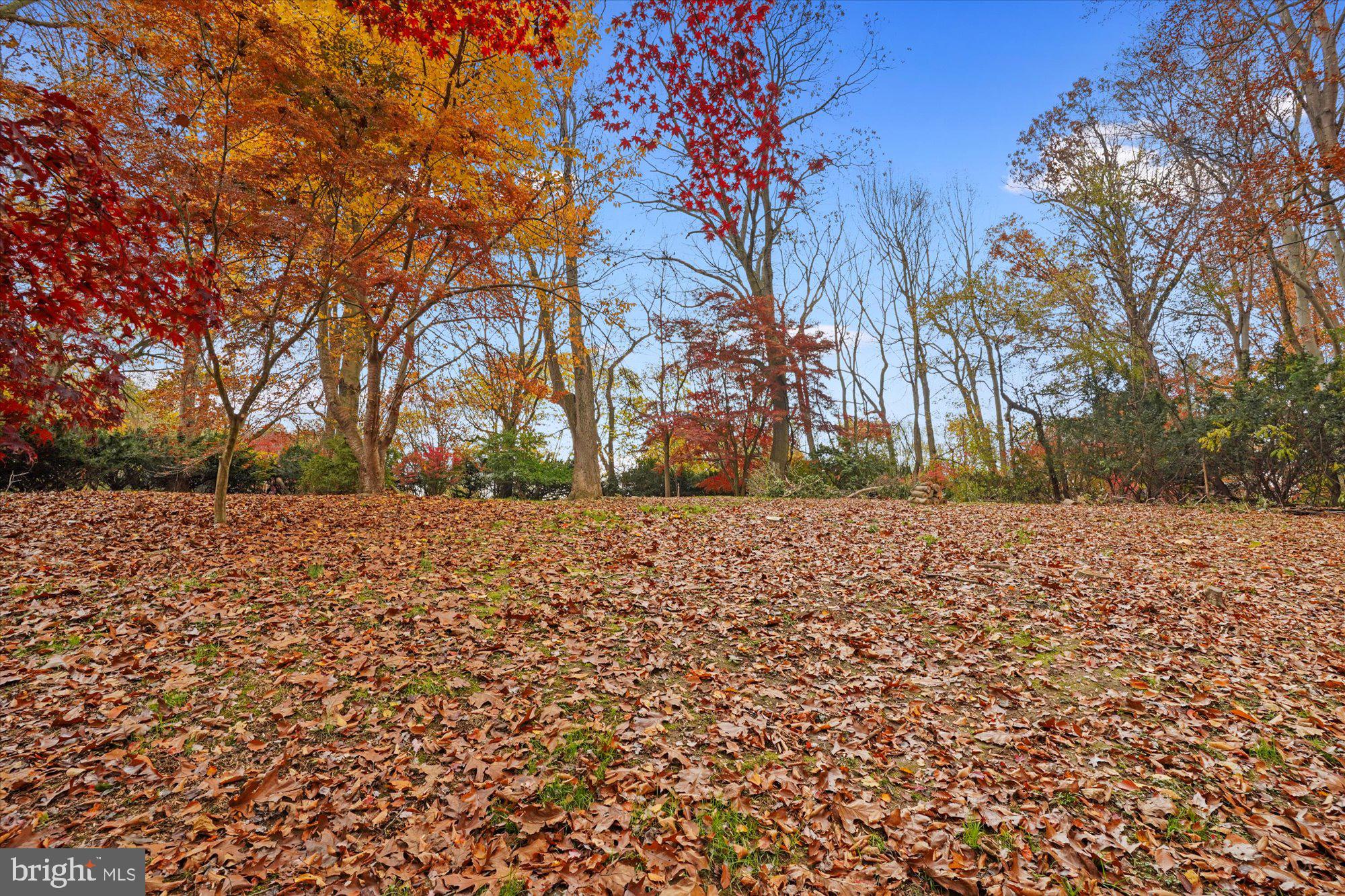152 McCleary Road Elkton, MD 21921 - Photo 22 of 23 Yard