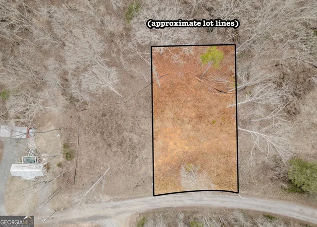 a view of a dry yard