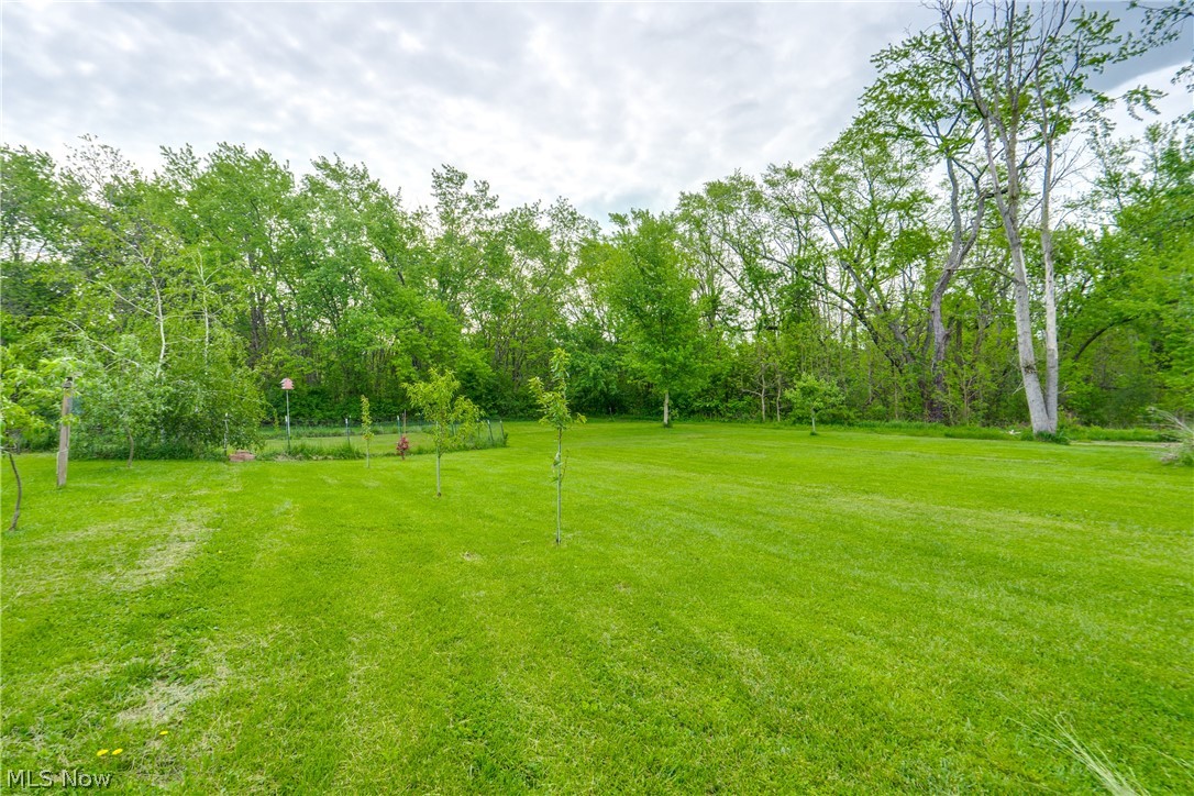 1682 South County Line Road Geneva, OH 44041 - Photo 34 of 41