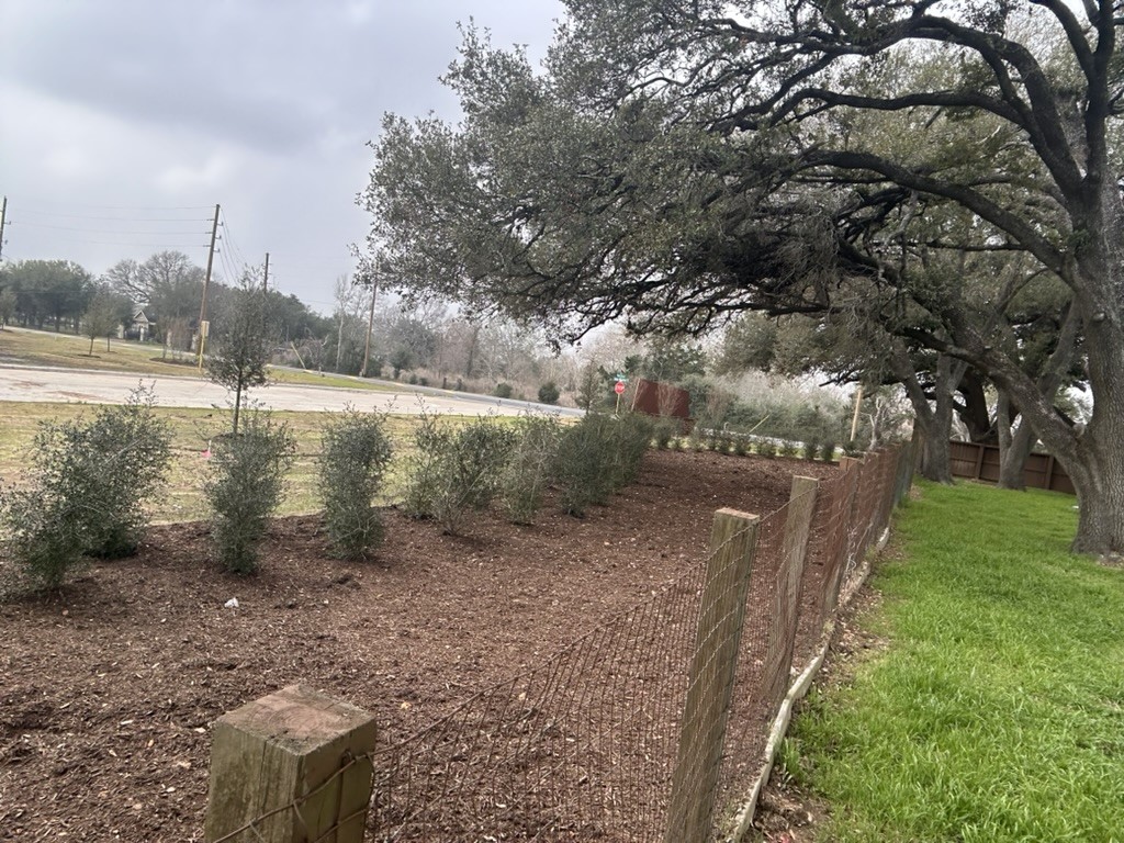 8412 Katy Hockley Road Katy, TX 77493 - Photo 34 of 36