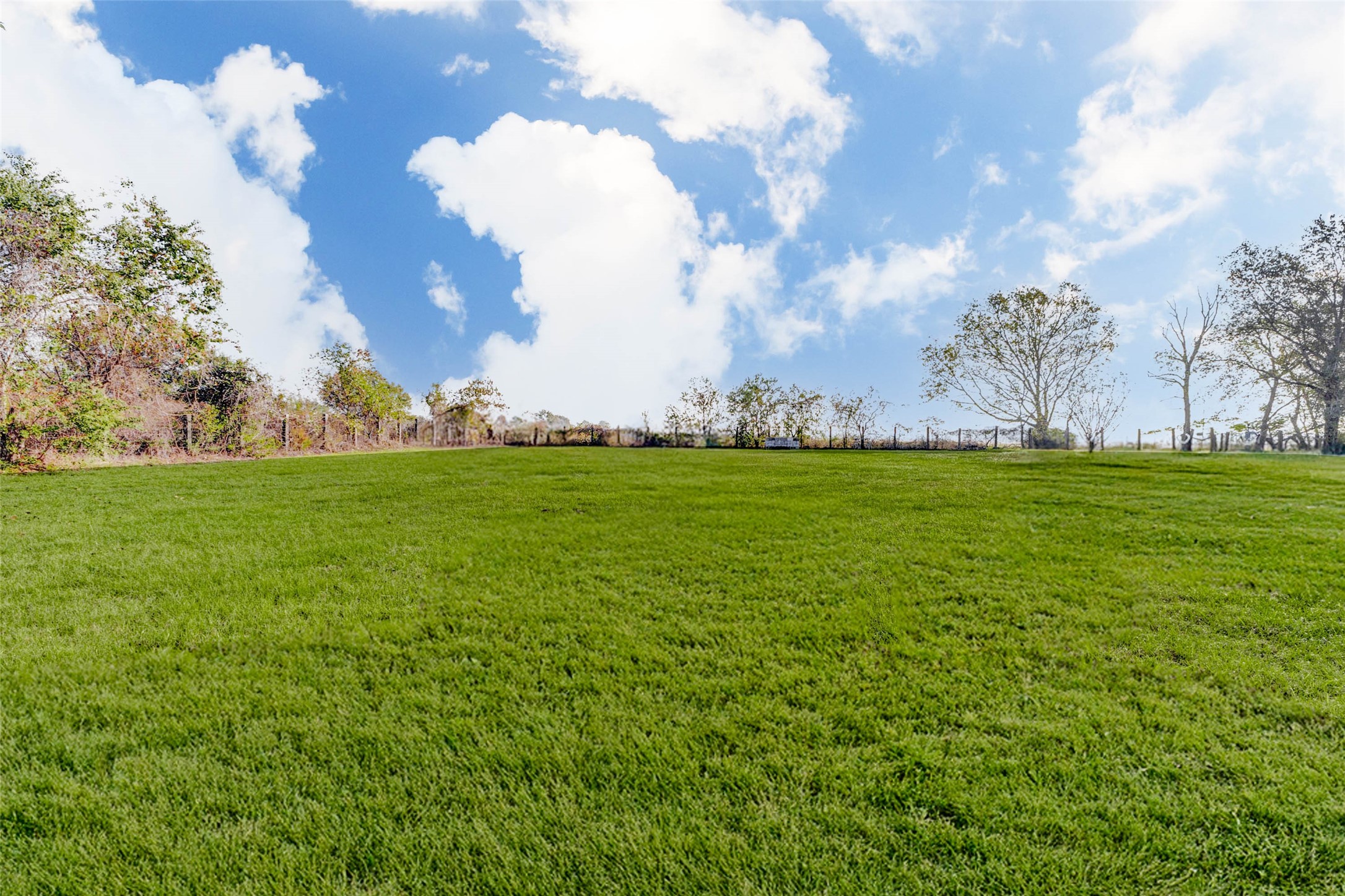 8412 Katy Hockley Road Katy, TX 77493 - Photo 8 of 36