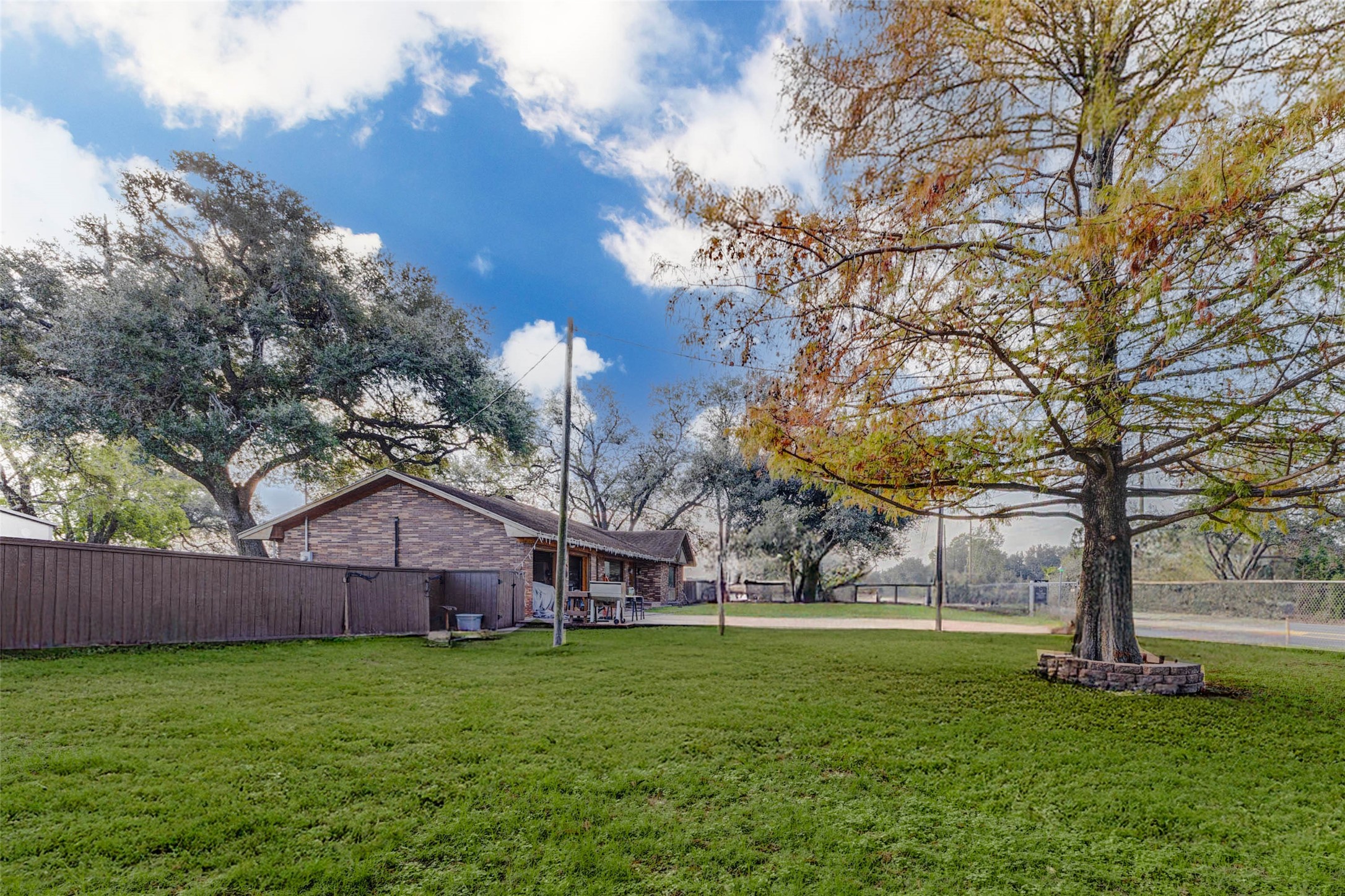 8412 Katy Hockley Road Katy, TX 77493 - Photo 9 of 36 a large tree in front of a house with a garden