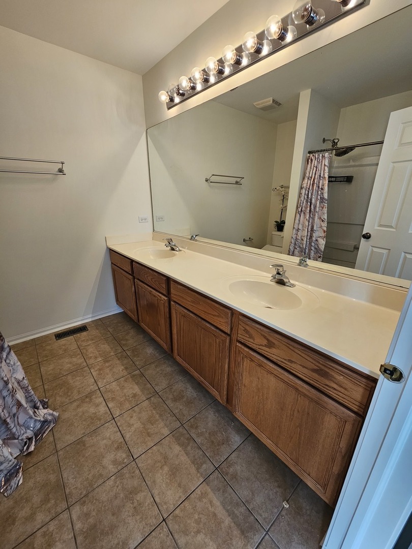 847 Teasel Lane Aurora, IL 60504 - Photo 28 of 46 a bathroom with a sink and a mirror