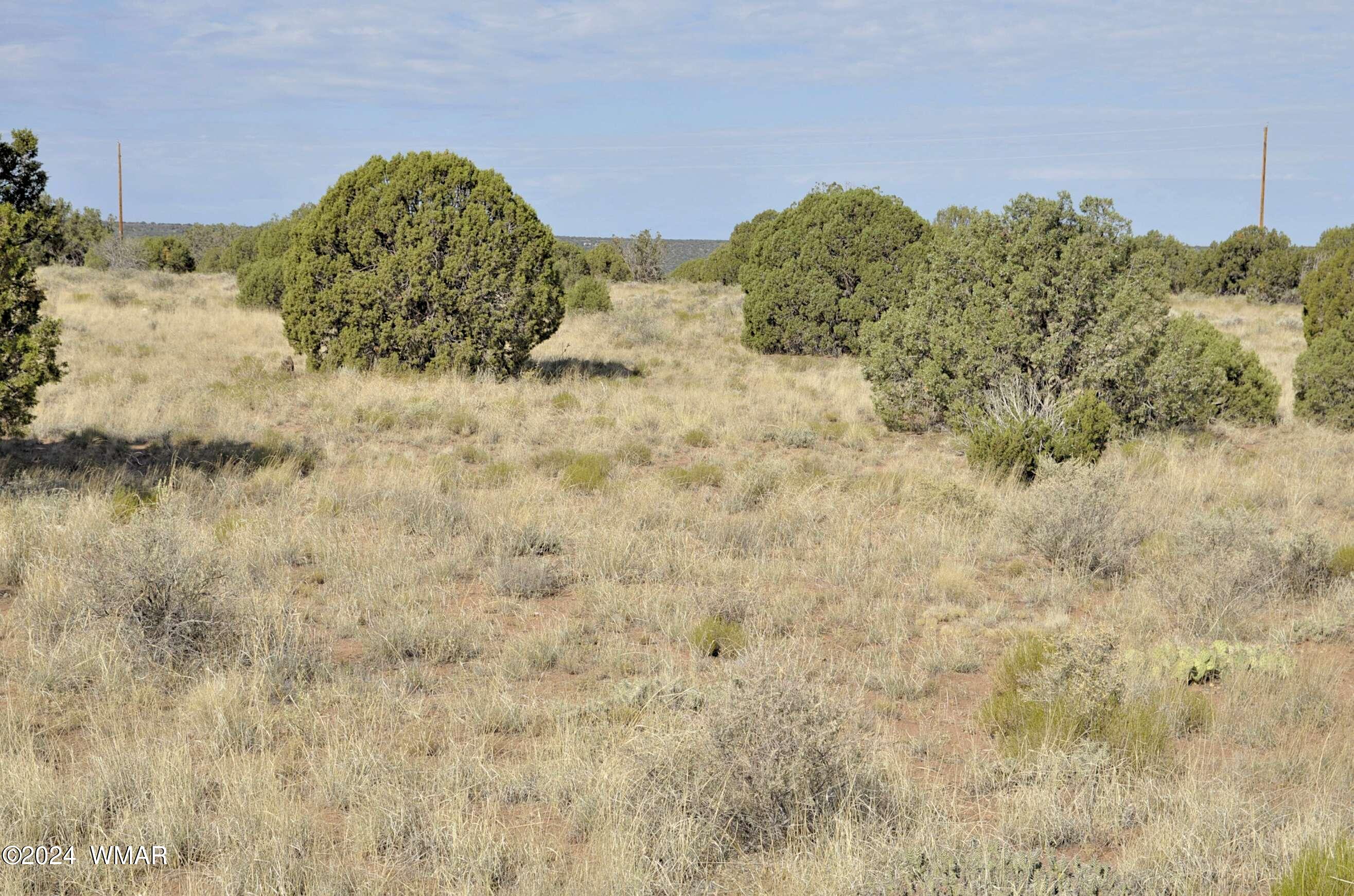 4500 Mountain View Road Snowflake, AZ 85937 - Photo 9 of 9 9