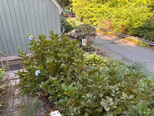 8 Village Road, Unit 8 Southington, CT 06489 - Photo 22 of 25 a backyard of a house with lots of green space