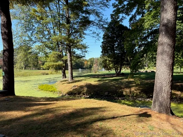 a view of a yard with yellow house