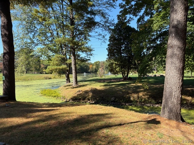 8 Village Road, Unit 8 Southington, CT 06489 - Photo 24 of 25 a view of a yard with yellow house