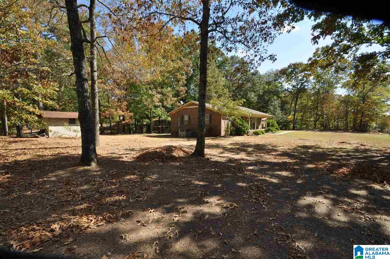 1723 Morton Road Warrior, AL 35180 - Photo 46 of 49