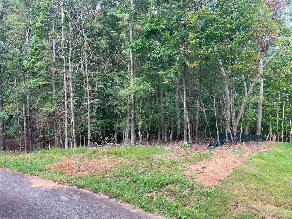 7620 Maple Place Murrayville, GA 30564 - Photo 2 of 6 a outdoor space with lots of trees and plants