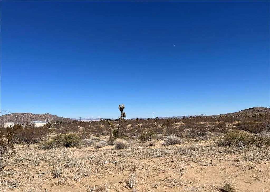 0 Balsa Landers, CA 92285 - Photo 3 of 8