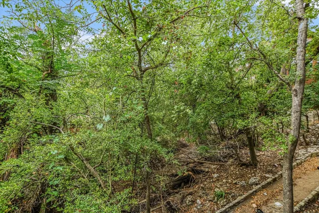 a view of a large yard with lots of bushes
