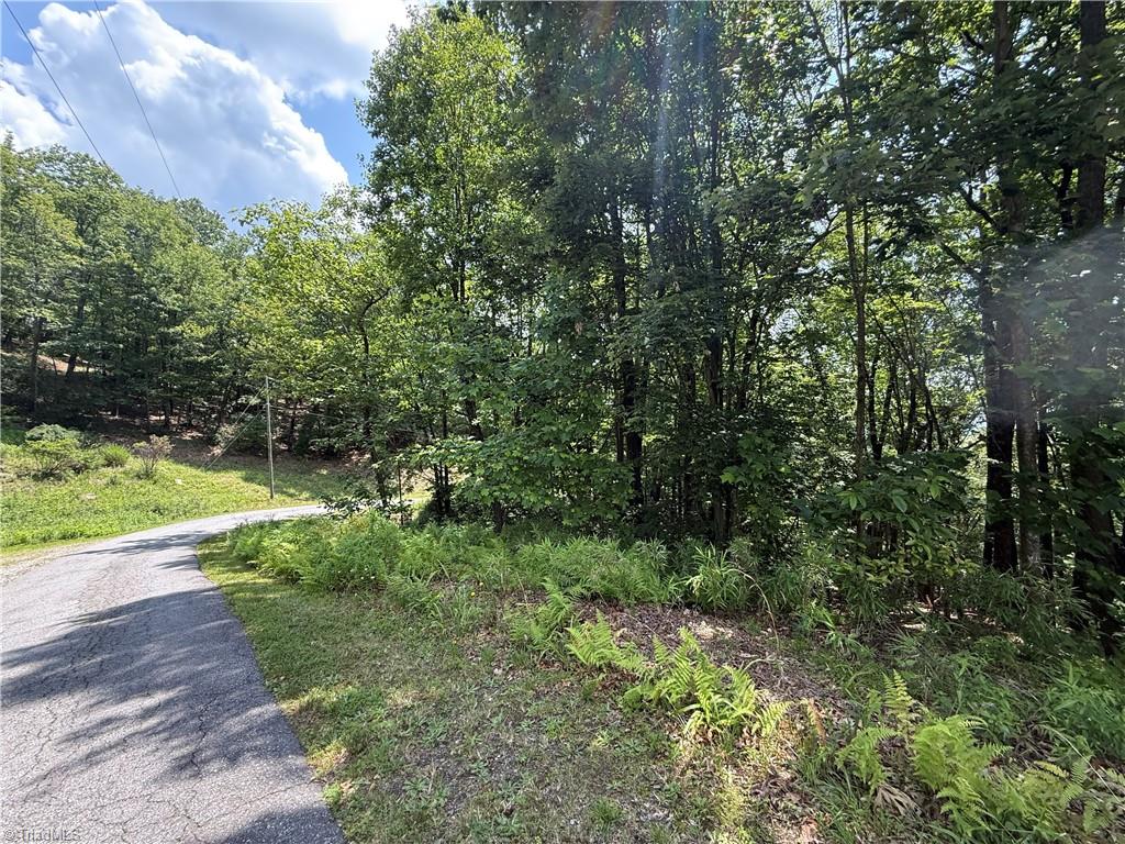 Tbd Highland N Road North Wilkesboro, NC 28659 - Photo 12 of 45