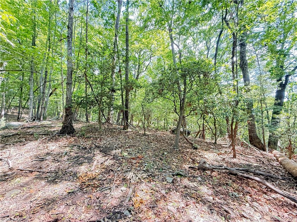 Tbd Highland N Road North Wilkesboro, NC 28659 - Photo 13 of 45