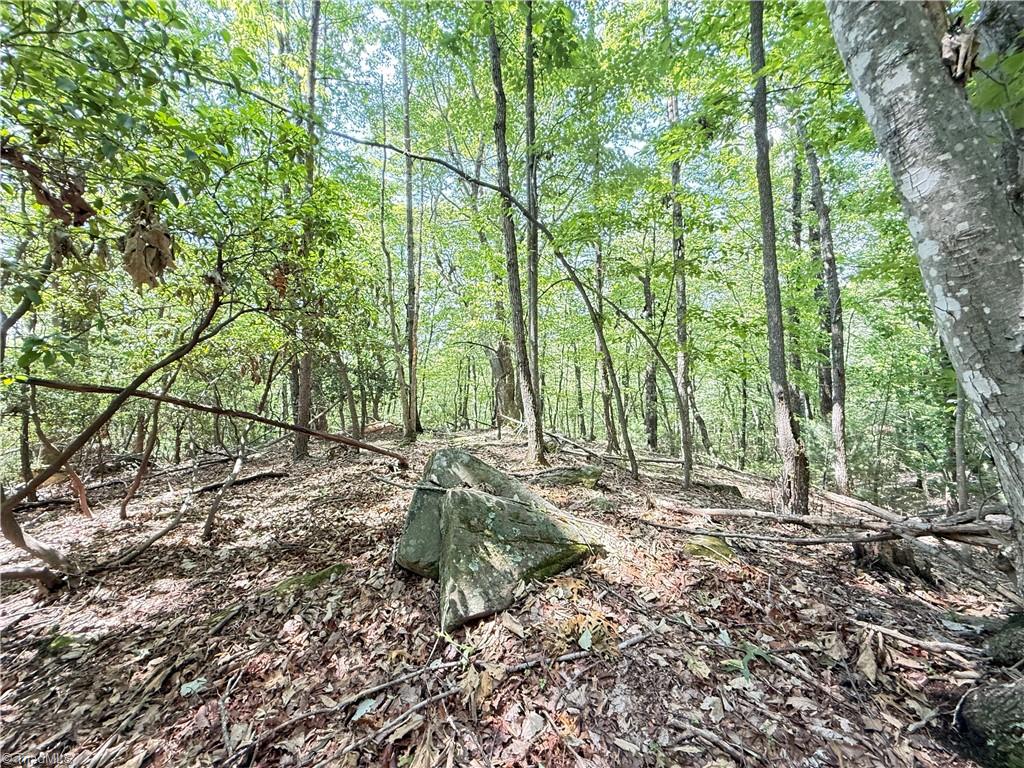 Tbd Highland N Road North Wilkesboro, NC 28659 - Photo 15 of 45