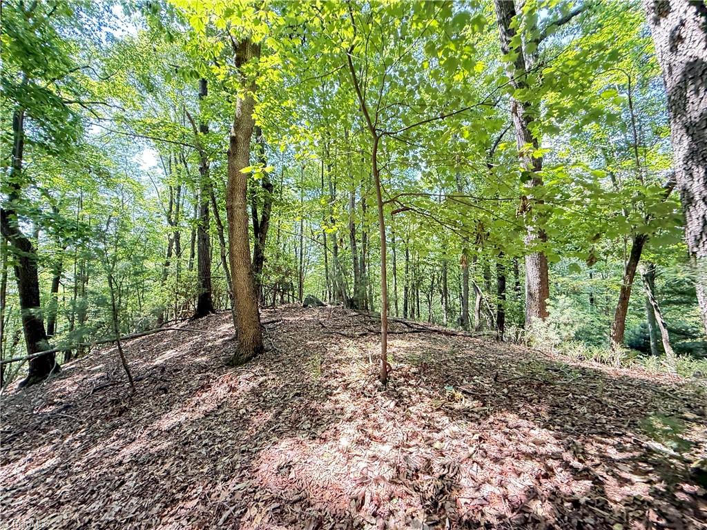 Tbd Highland N Road North Wilkesboro, NC 28659 - Photo 16 of 45