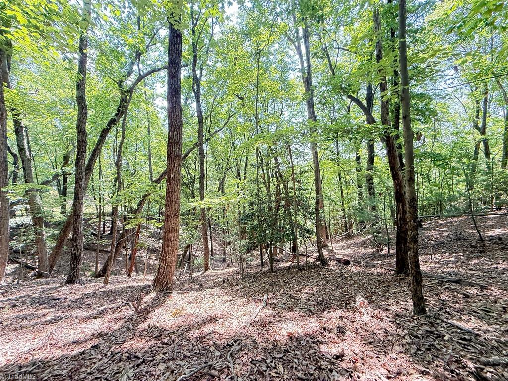 Tbd Highland N Road North Wilkesboro, NC 28659 - Photo 17 of 45