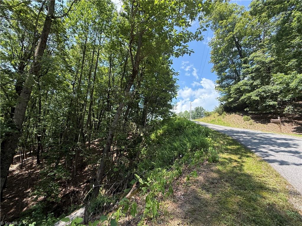 Tbd Highland N Road North Wilkesboro, NC 28659 - Photo 20 of 45