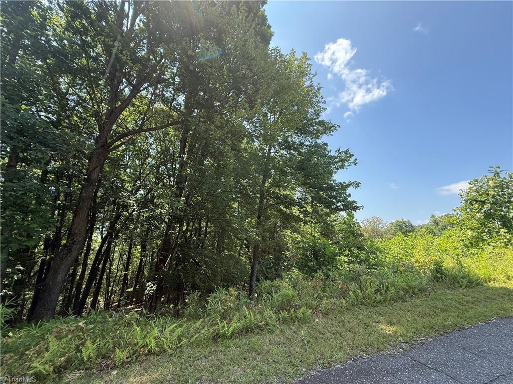 Tbd Highland N Road North Wilkesboro, NC 28659 - Photo 24 of 45