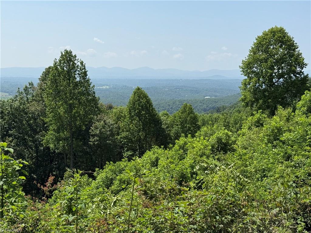 Tbd Highland N Road North Wilkesboro, NC 28659 - Photo 26 of 45